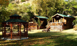 Cabin Rentals