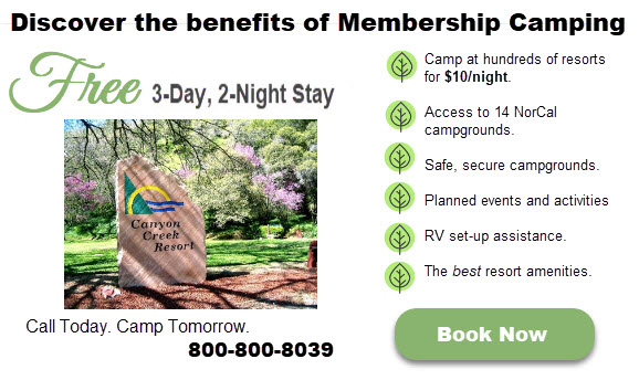 Free Stay