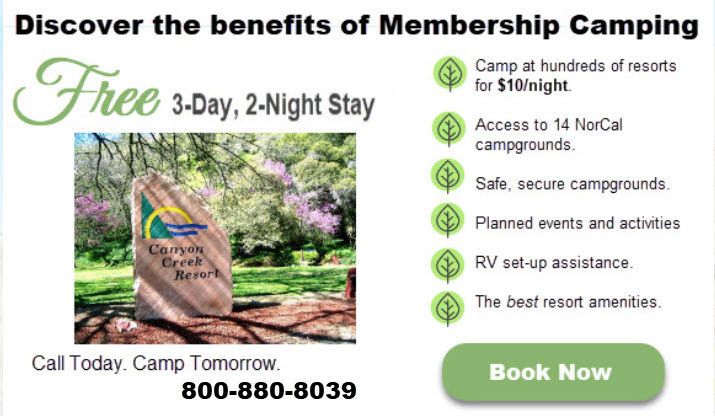 Free Stay
