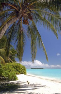 iStock BeautifulTropicalBeach