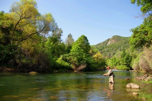 putah-creek-fly-fishing